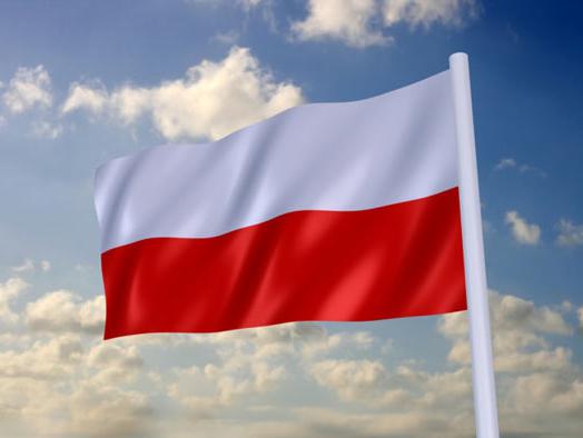 علم بولندا: الصورة